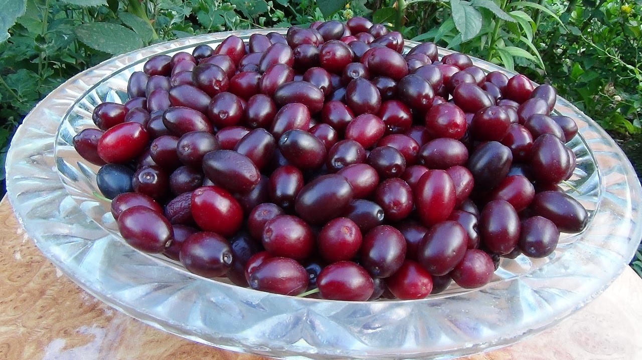 🍷Наливка из замороженного кизила.