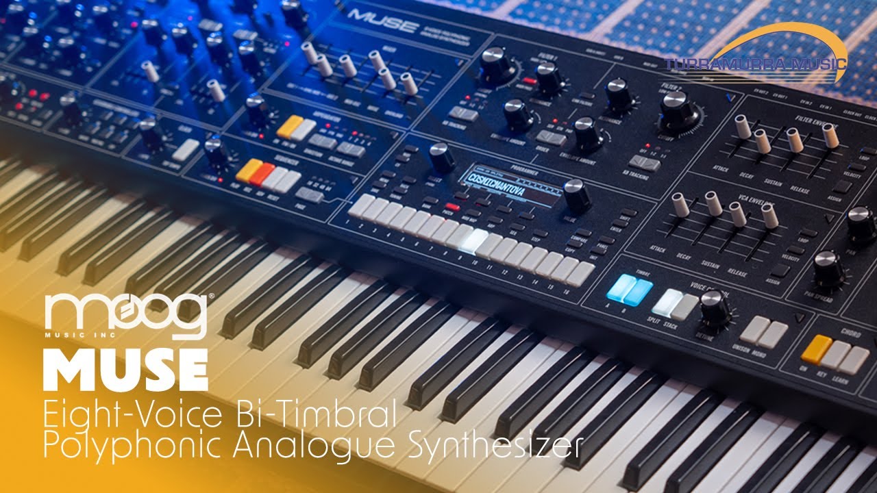 Moog Muse с thedieyoungs! Первый взгляд на Turra Music