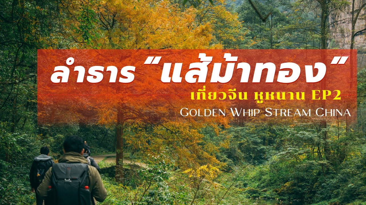 ลำธารแส้ม้าทอง จางเจียเจี้ย | เที่ยวจีนเอง หูหนาน-กว่างซี EP.4 | CrossCutting Journey in China