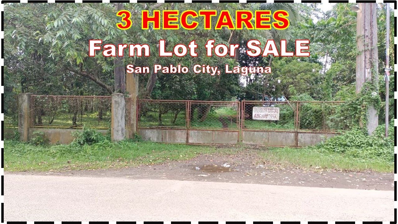 FARM LOT FOR SALE (PROP# 150) 3 HECTARES, SAN PALO CITY, LAGUNA