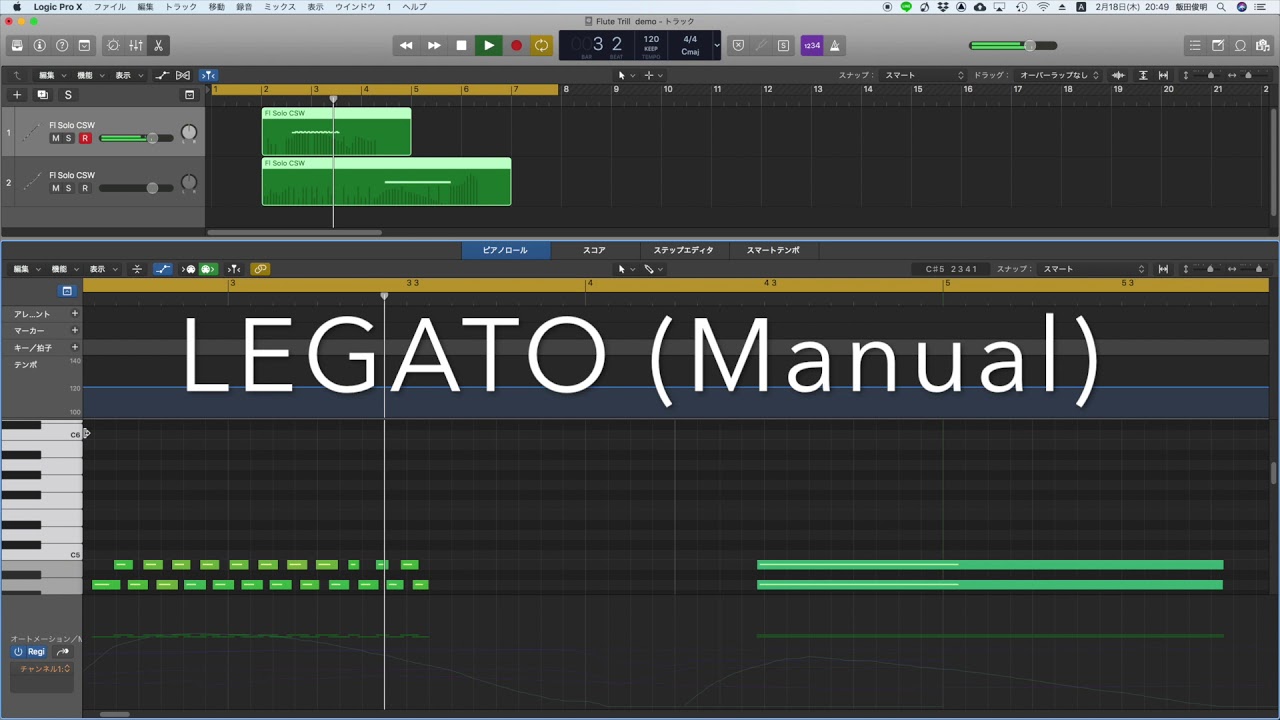 CInematic Studio Woodwinds Flute Trill Demo(Legato and Trill)