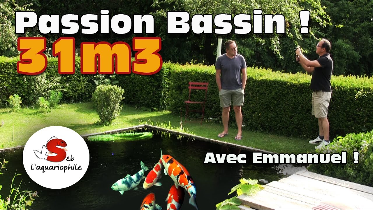 🎥 Visite du bassin à Koï de 31 m³ construit de A à Z par Emmanuel 🐟✨