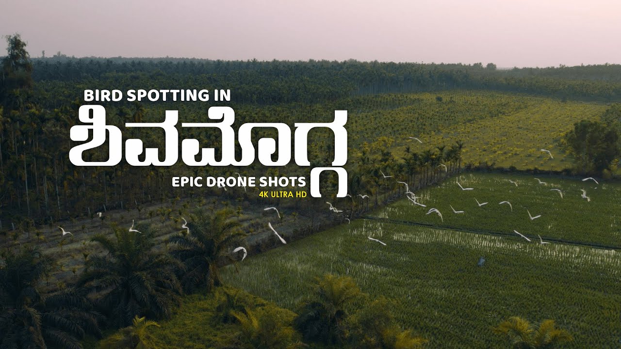 Bird Spotting in Shivamogga - 4K UTRA HD - Epic Drone Shots - Travel With SANTHOSH