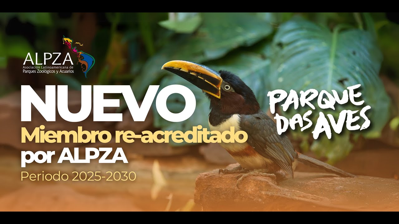 Parque das Aves | Miembro Re-acreditado por ALPZA 2025