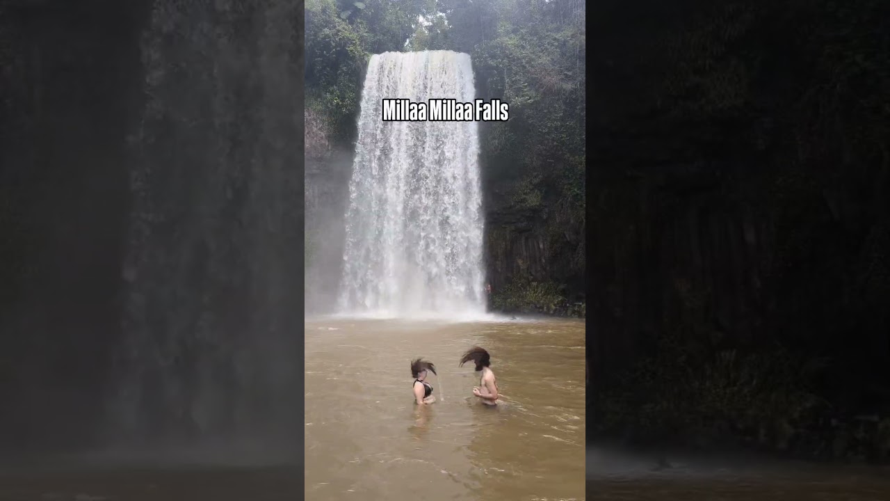 Here's our list of the perfect Atherton Tablelands waterfall / swimming hole day trip.