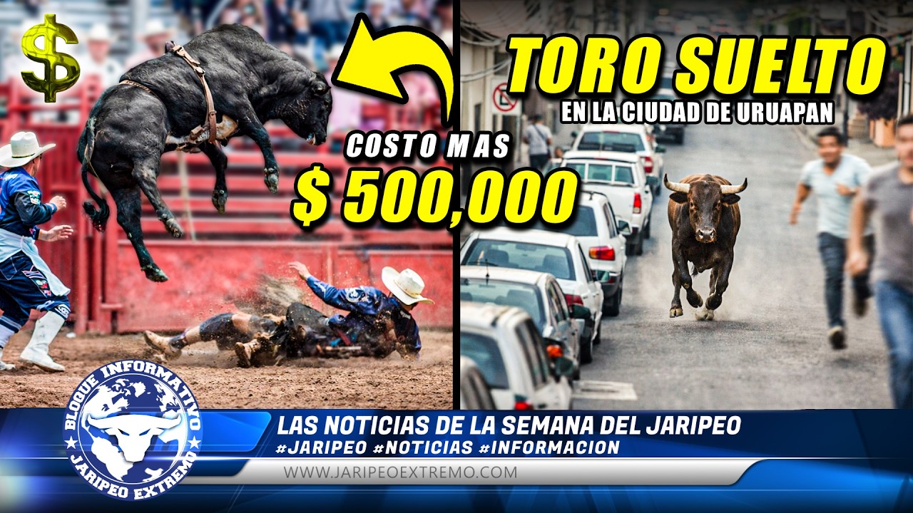 TORO SUELTO EN CIUDAD - COSTO + $ 500,000