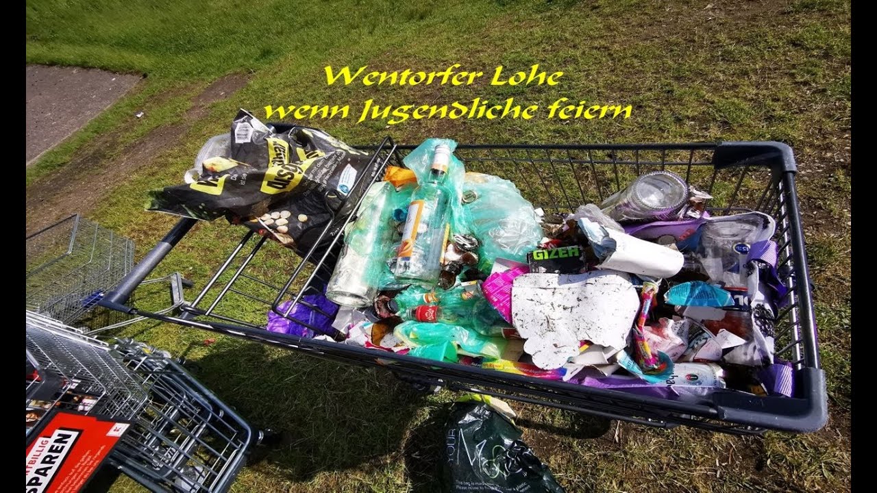 Wentorfer Lohe - wenn Jugendliche feiern 🙈