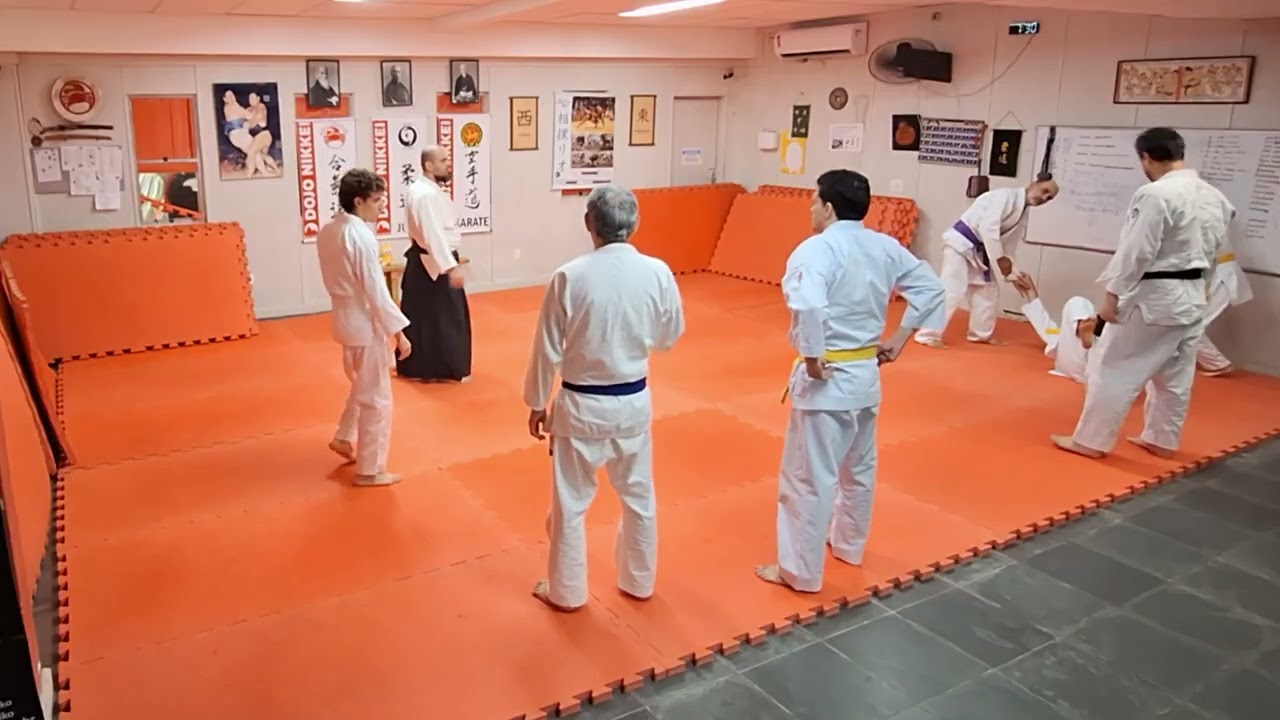 Tai Sabaki: Tenkan / Ushiro Tenkan / Irimi Tenkan para execução de Ikkyo, Sumi-otoshi e Kaiten