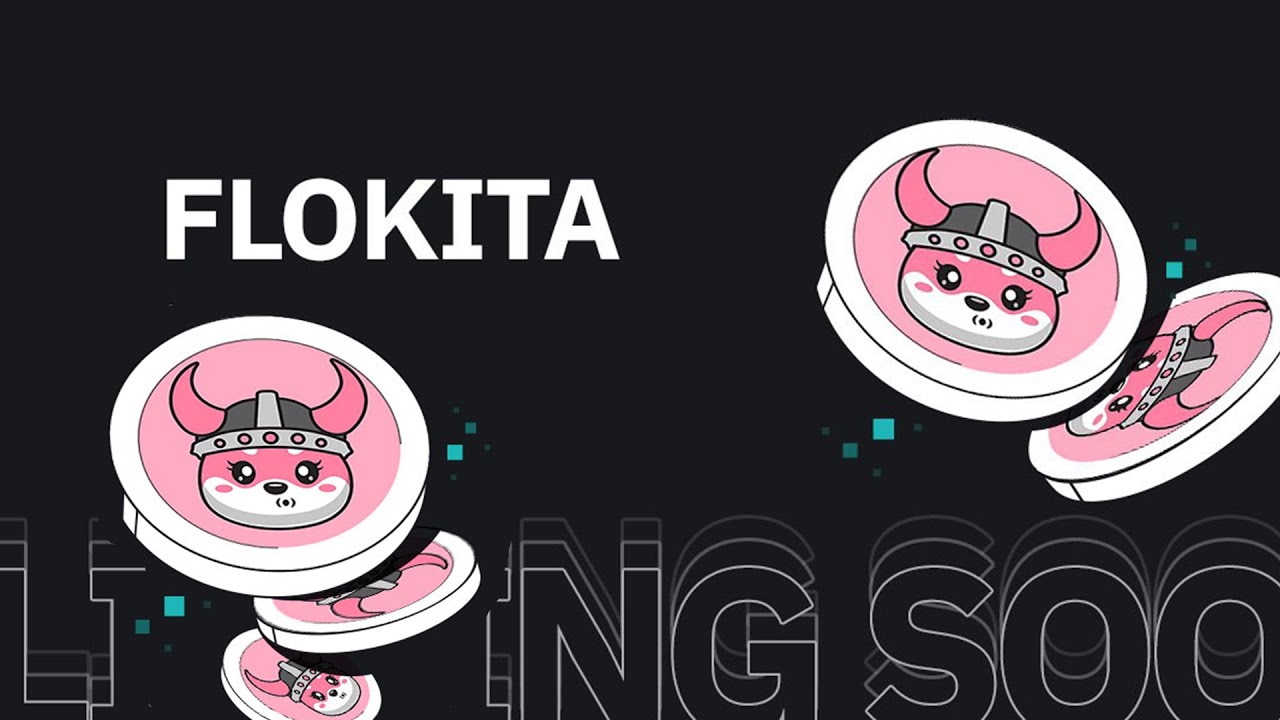 Flokita: The Next Big Meme Token!