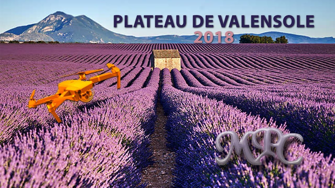 plateau de valensole 2018