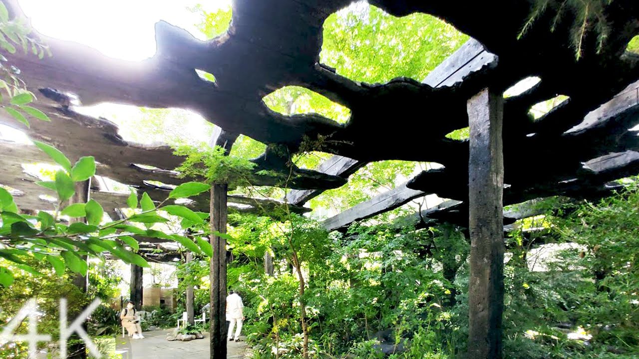 【4K】 Walking in the garden of Kudan House