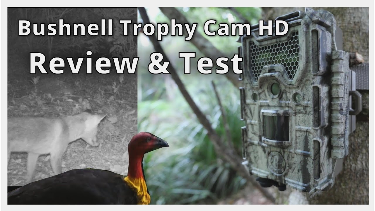 Bushnell Trophy Cam HD Review & Test