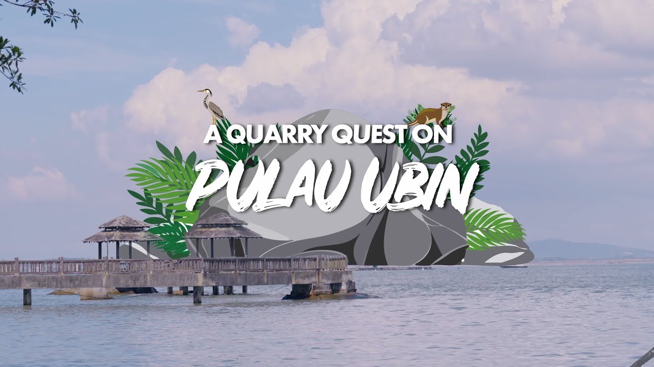 A Quarry Quest on Pulau Ubin