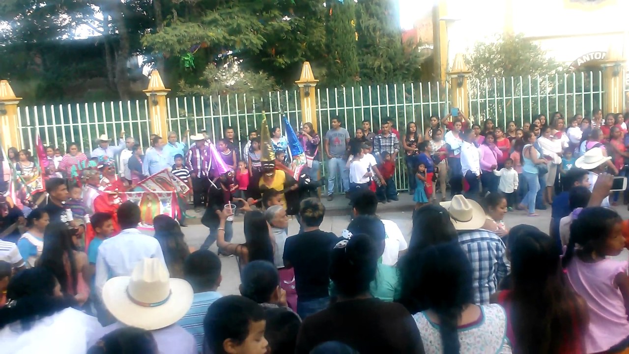 Ahuacuotzingo fiesta de San Antonio Abad