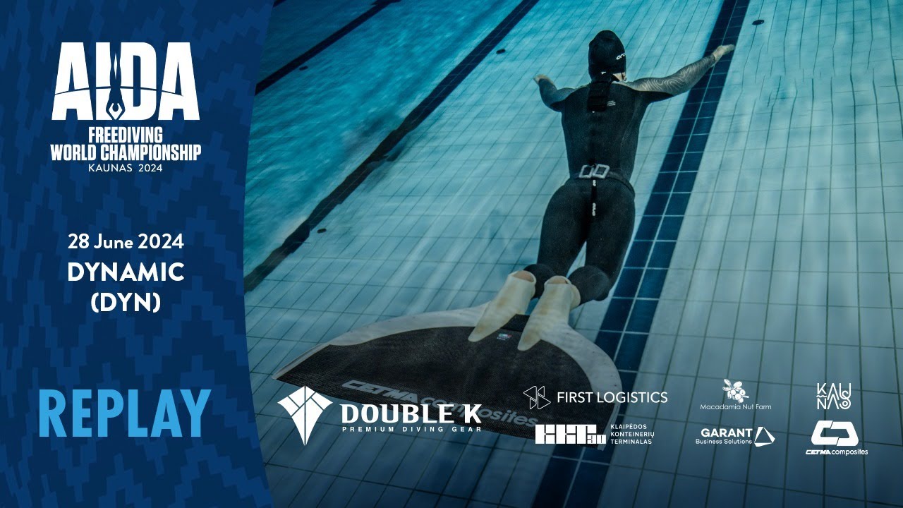 AIDA Pool World Championship Kaunas 2024 Day 4: DYN