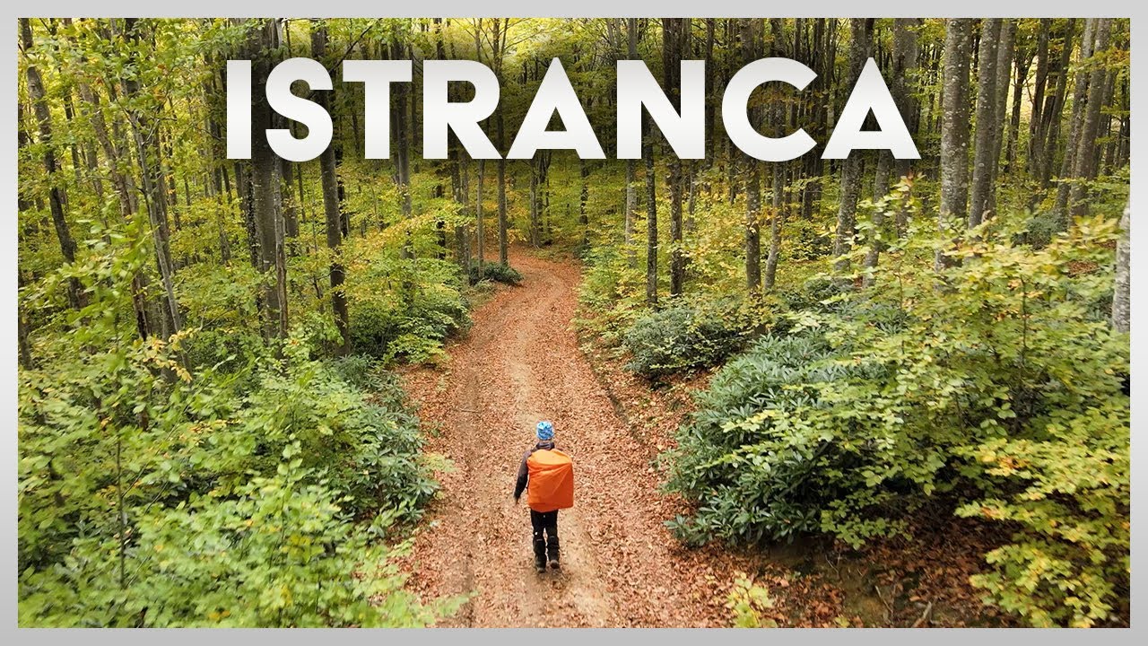 Istranca Ormanları | Solo Doğa Yürüyüşü