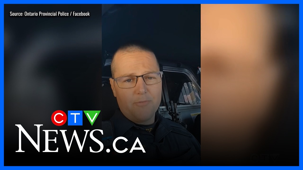 Thunder Bay OPP patrol catches driver pass stopped school bus on Hwy. 11/17