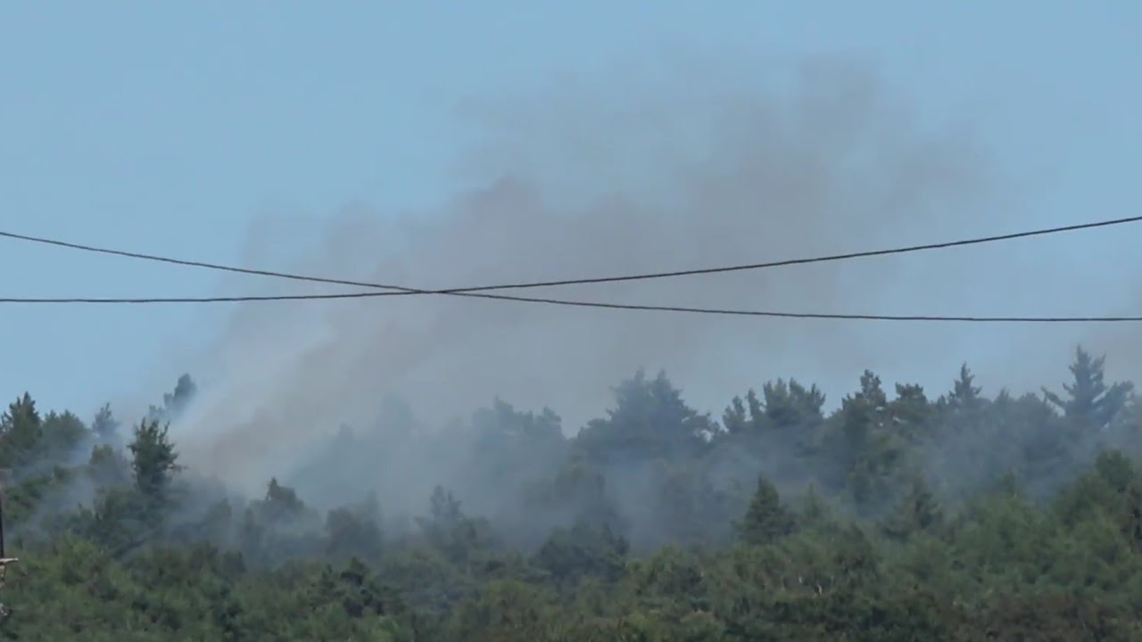 [Waldbrand+Rauchwolke] Gro&szlig;einsatz f&uuml;r die Feuerwehr H&ouml;rstel 05.07.2018