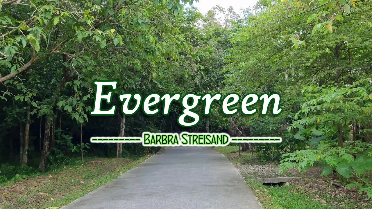 Evergreen - KARAOKE VERSION - as popularized by Barbra Streisand