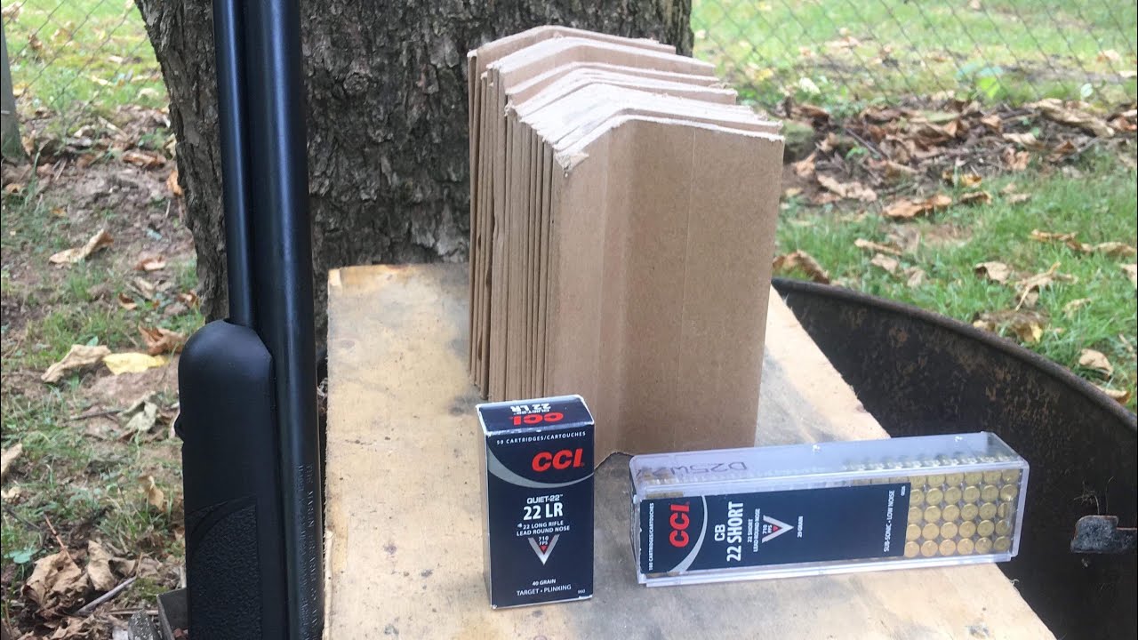 CCI Quiet￼ 22lr vs CCI CB short vs cardboard