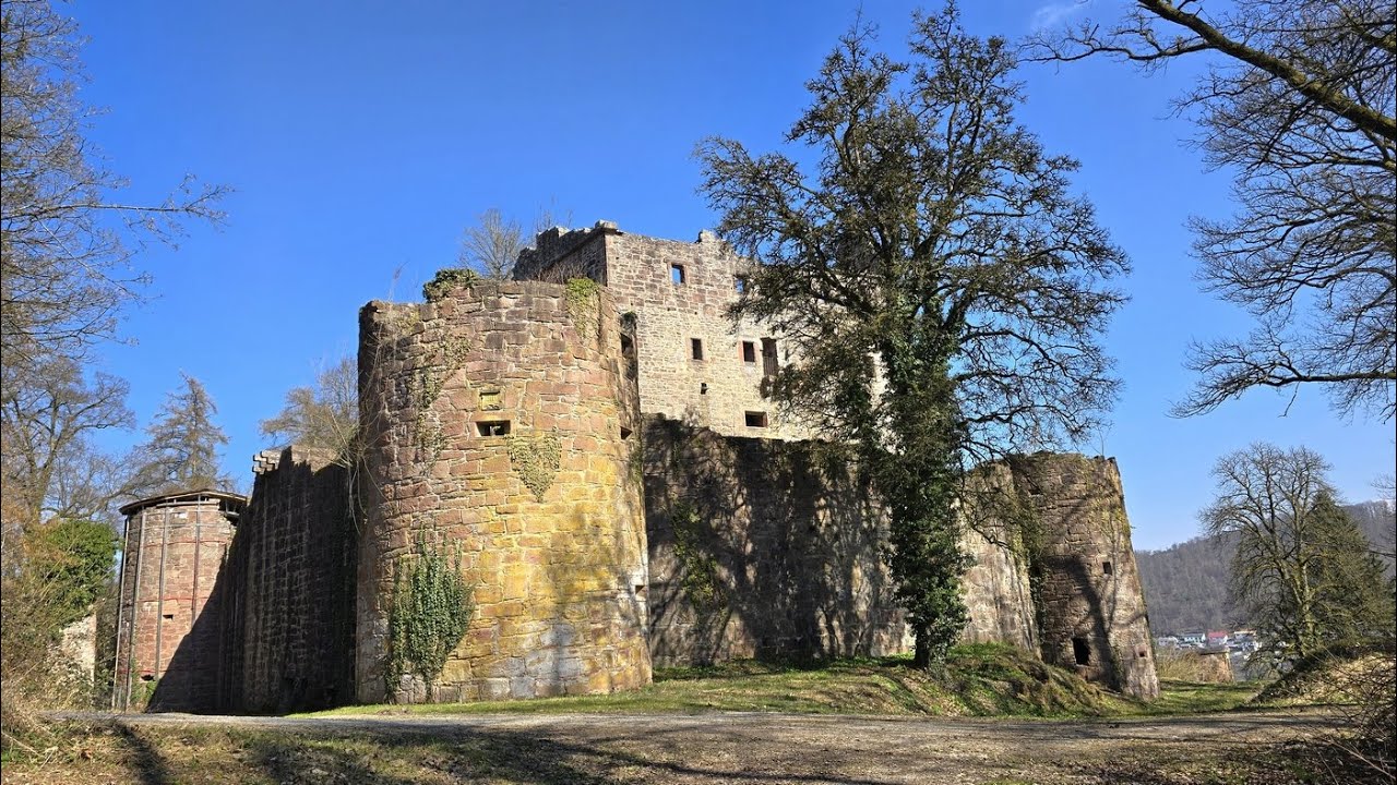 Neckarsteig Teil 6 - 16.03.2025  - Neunkirchen - Ruine Minneburg - Neckarkatzenbach - Neckargerach