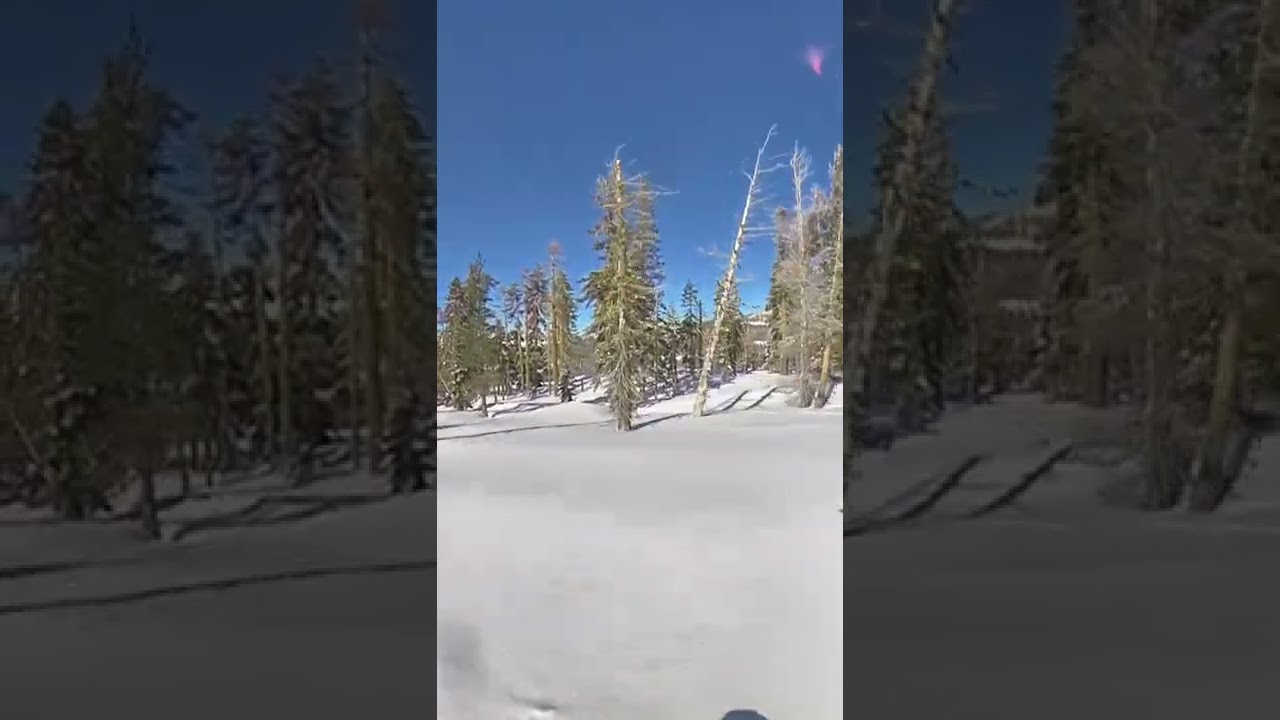 Still more than just park at Boreal. #snowboarding #powderday #shredfam