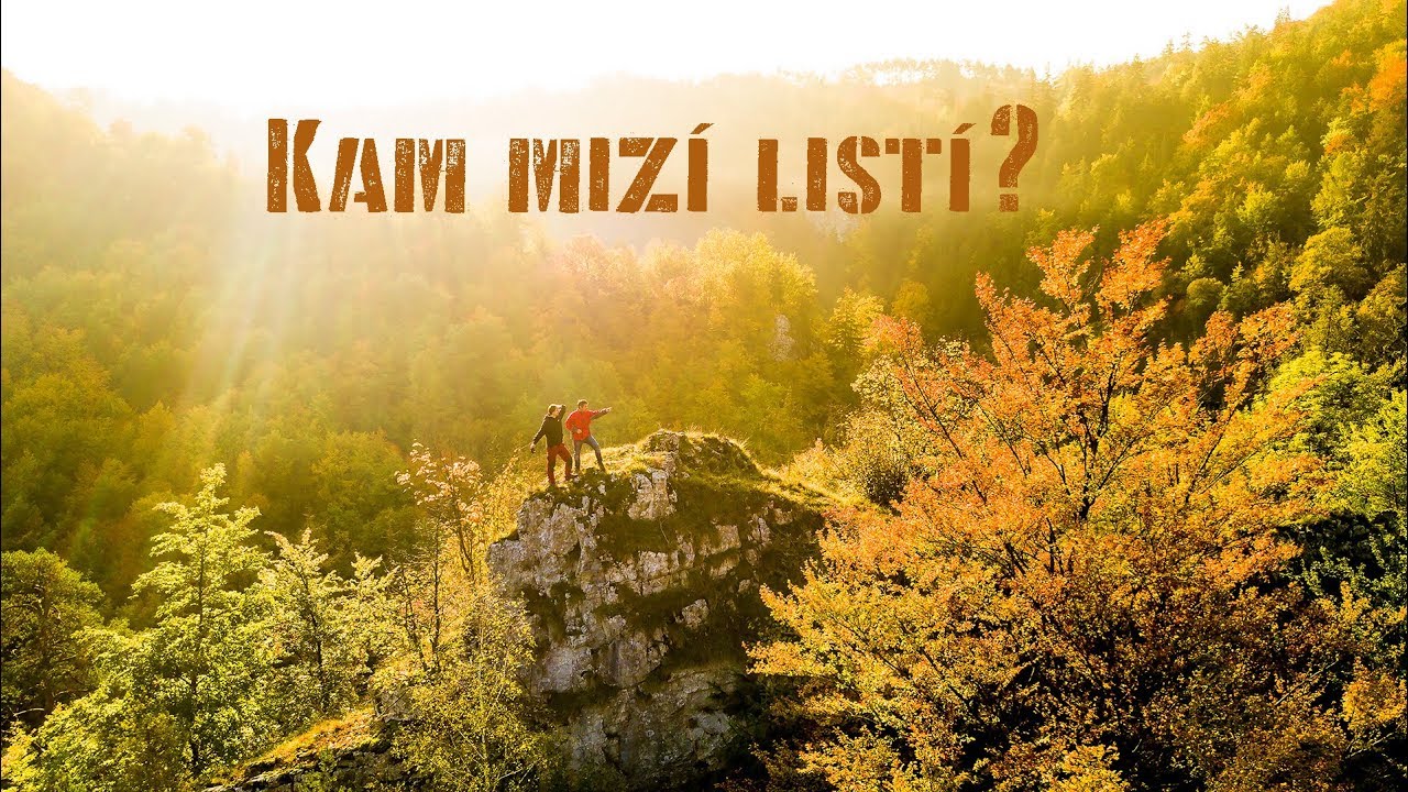 Petrova divočina: Kam mizí listí?