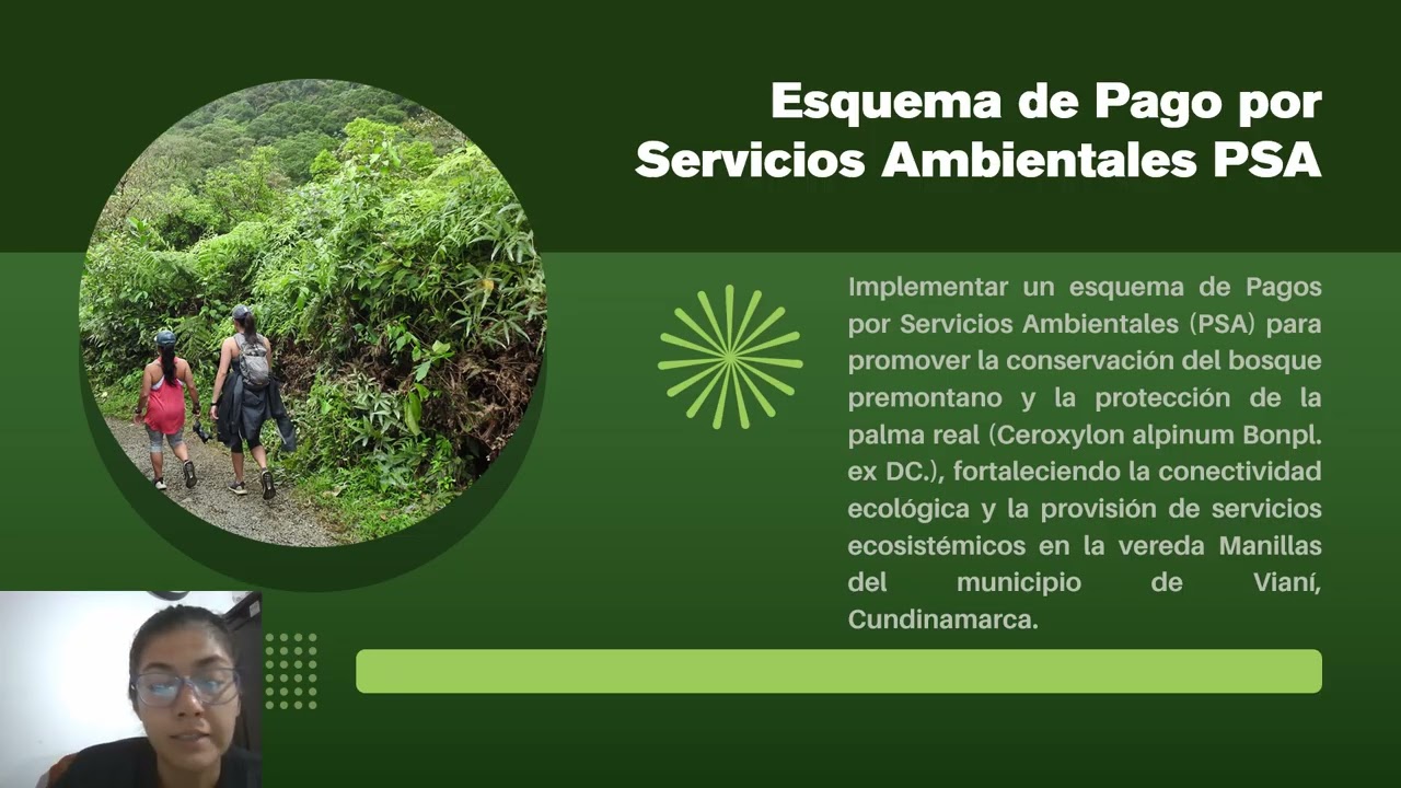 PSA BOSQUE PREMONTANO