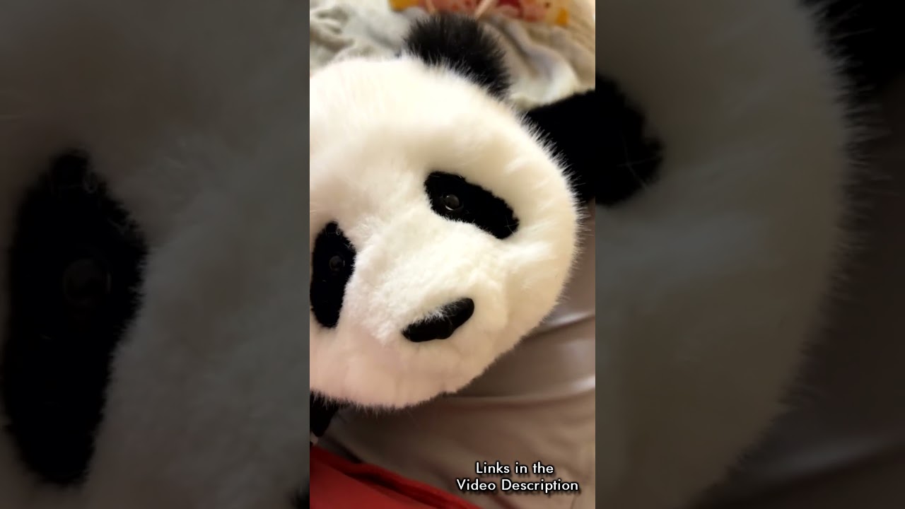 Lifelike Panda Plush | Chongker Weighted Stuffed Animals
