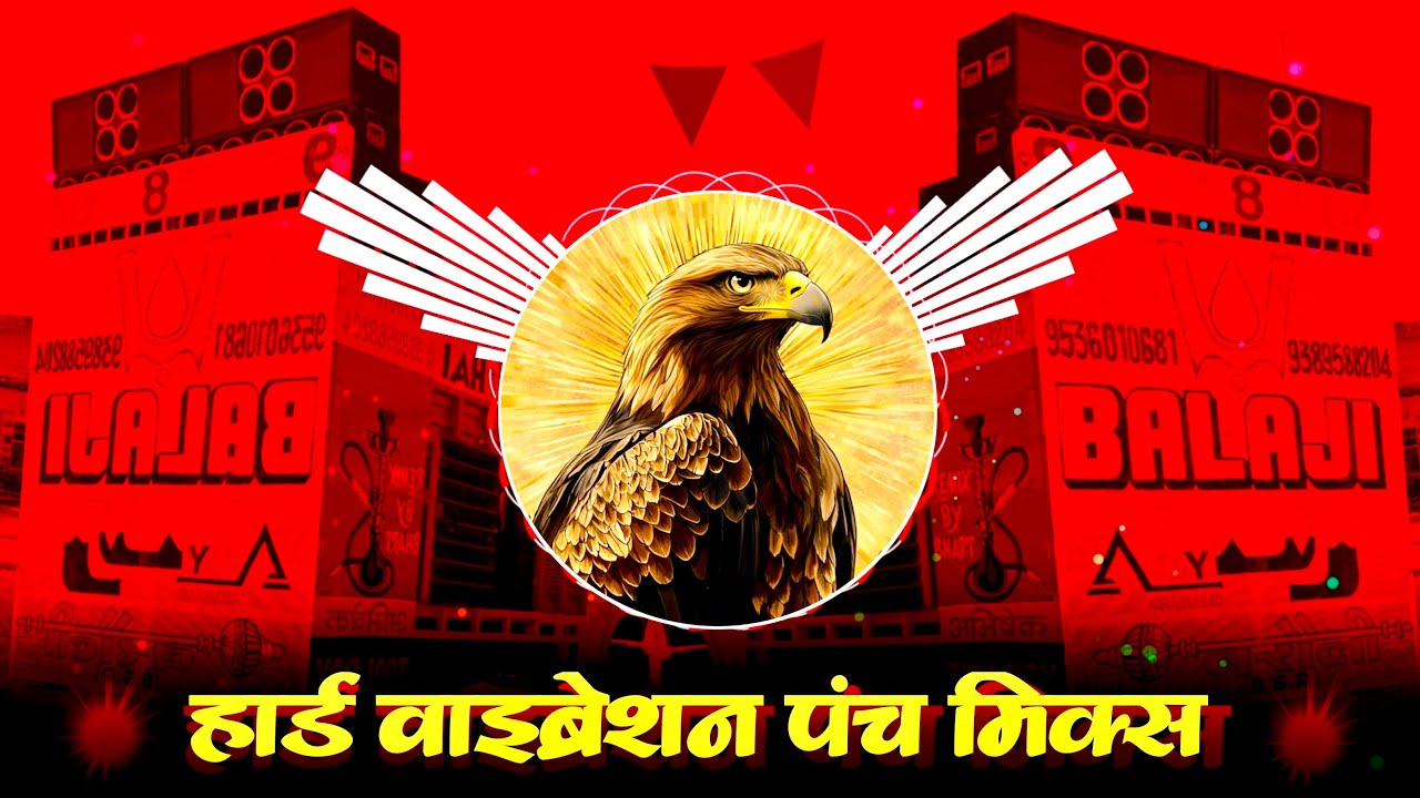 40 Kilo Ki Sari 100 Kilo Ki Marod Leri - Dj Remix Song | Vibration Punch Mix | Mixer Mohit