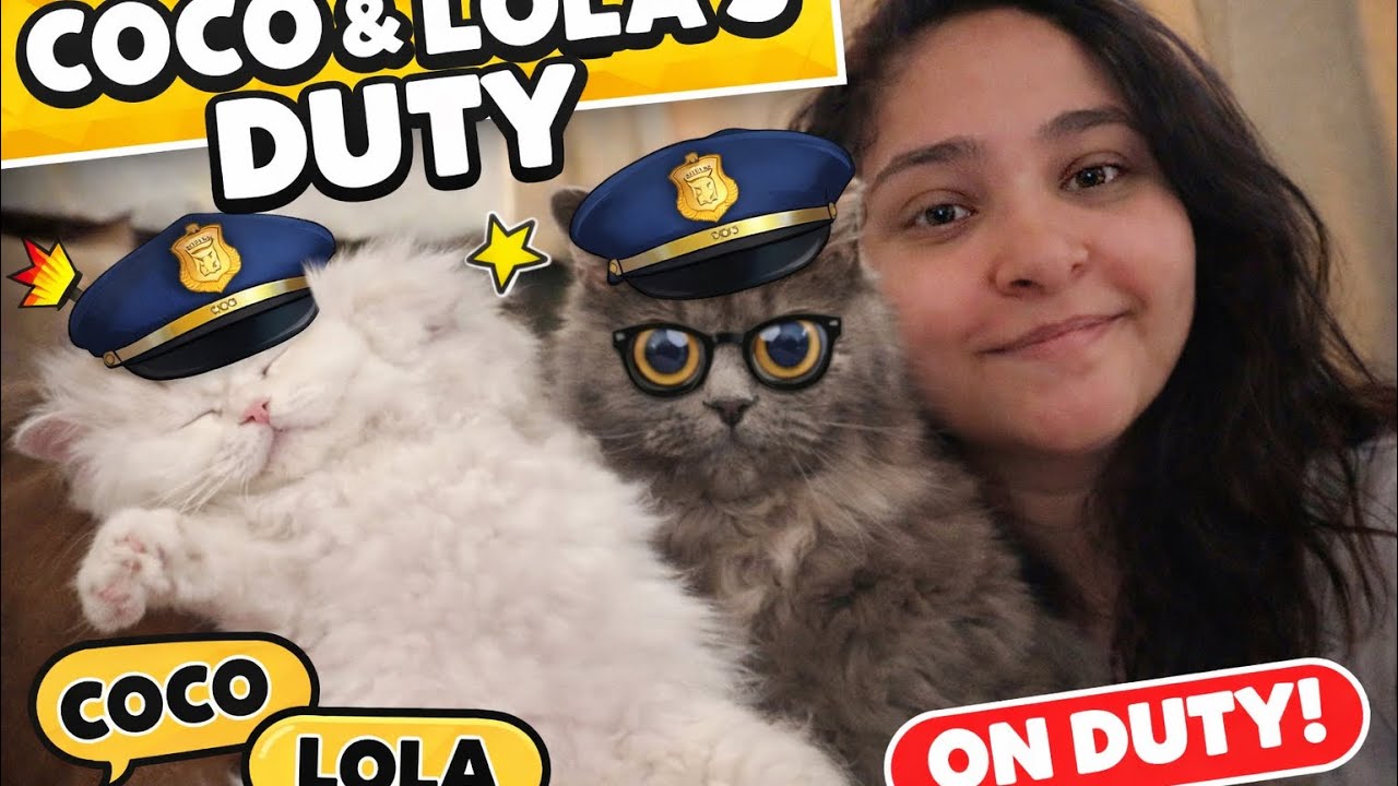 Vlog 90: Serving Coco & Lola Today! Cat Mom Duty 🐾