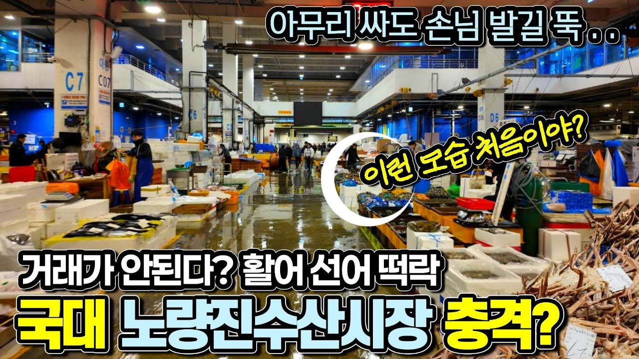 공포의 노량진수산시장 충격? 거래가 안된다? 손님  발길 뚝 . . 활어 선어 전국 최저가! 다음 사리까지 급락?? [노량진수산물도매시장]