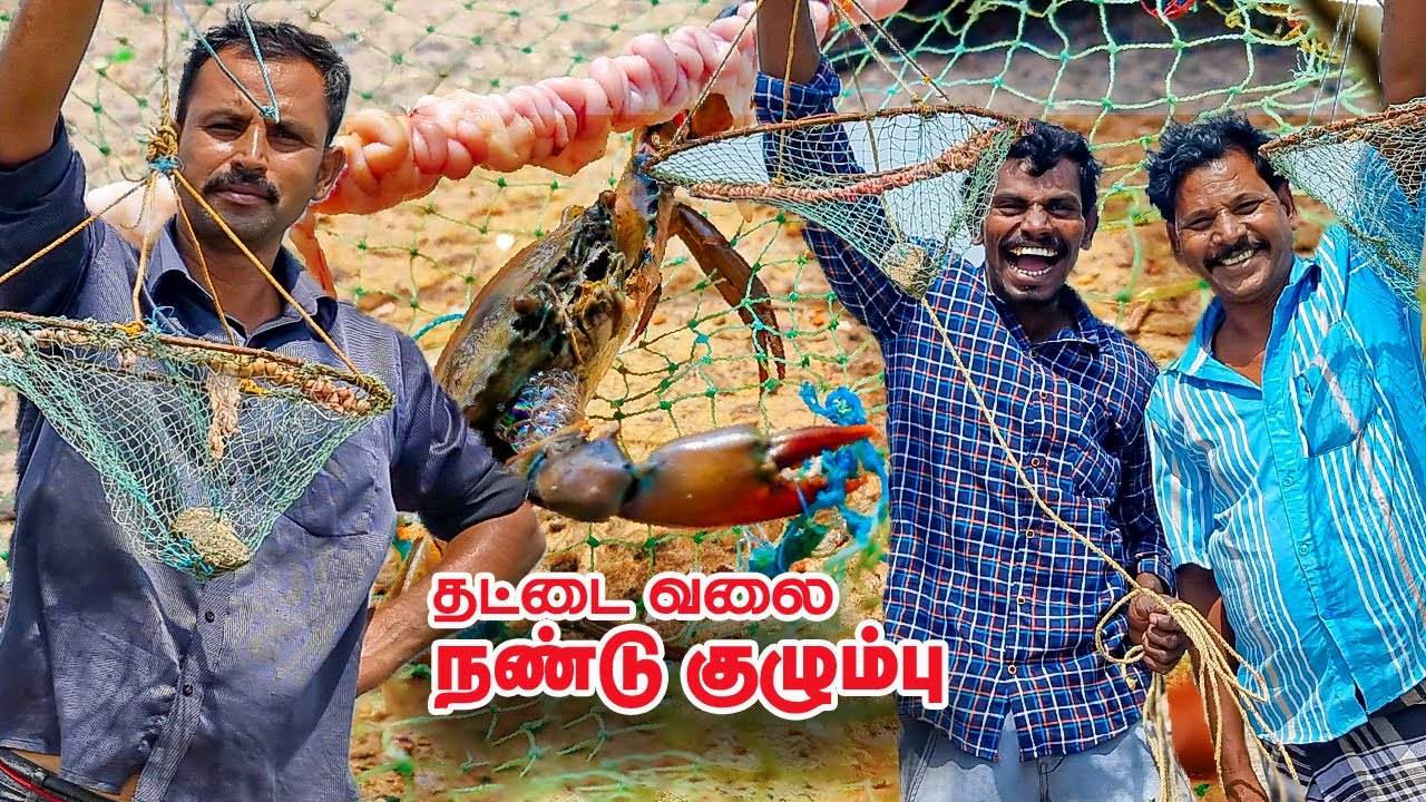 தட்டை வலை நண்டு பிடித்து -  தண்டு, நண்டு குழம்பு | Unique Method Crab Catching - stem , crab broth