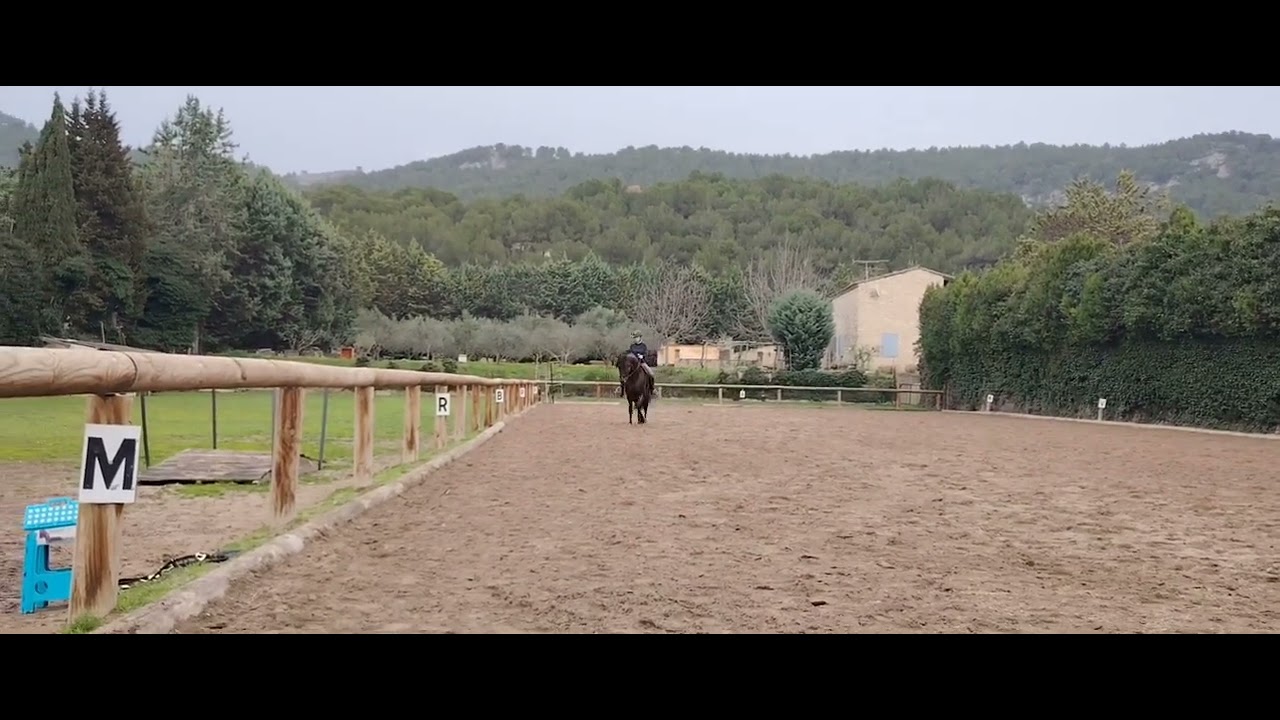 Vandalo mars