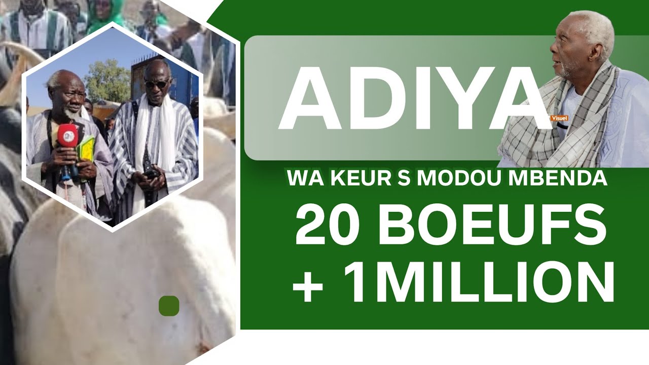 🛑RAMADAN 2026: ADDIYA WA KEUR SERIGNE MODOU MBENDA FALL 20 BŒUF PLUS 1 MILLION 
