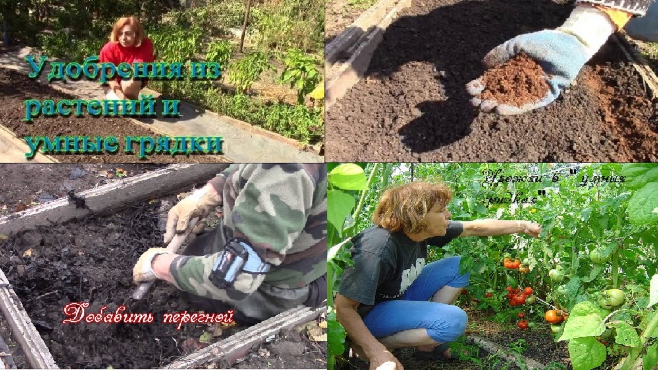 УМНЫЕ ГРЯДКИ, БУМАГА, ПЕРЕГНОЙ.  Всё о саде огороде.