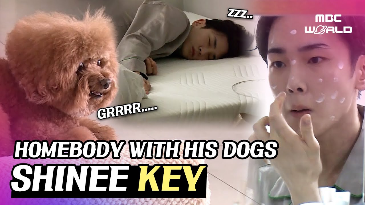 [C.C] KEY's Daily life at the home with his cute dogs🥰 #SHINEE #KEY