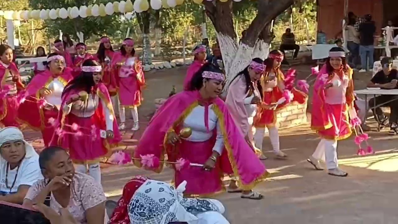 Danza matachines sibajaui el fuerte, Sinaloa, México. 21/01/2026