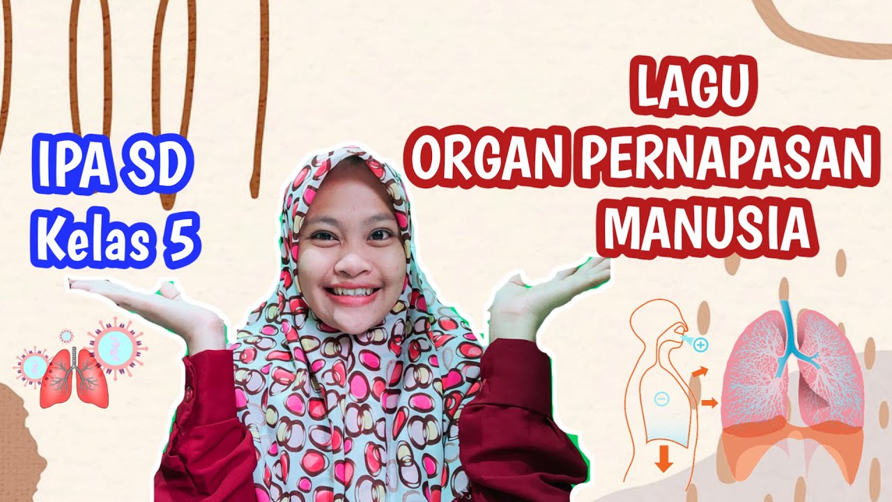 LAGU ORGAN PERNAPASAN MANUSIA || KELAS 5 SD