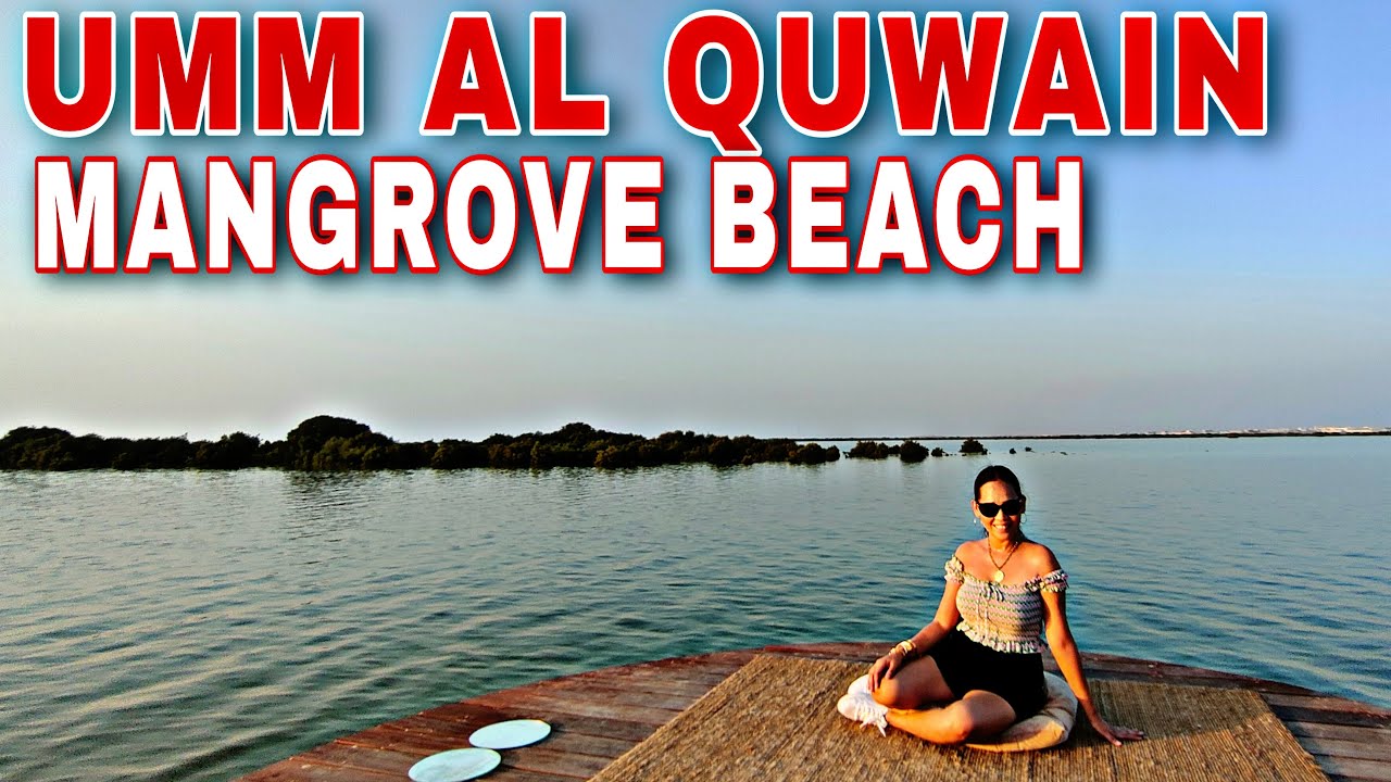 UMM AL QUWAIN MANGROVE BEACH | NATURE RESERVE MANGROVE BEACH UAQ, UAE