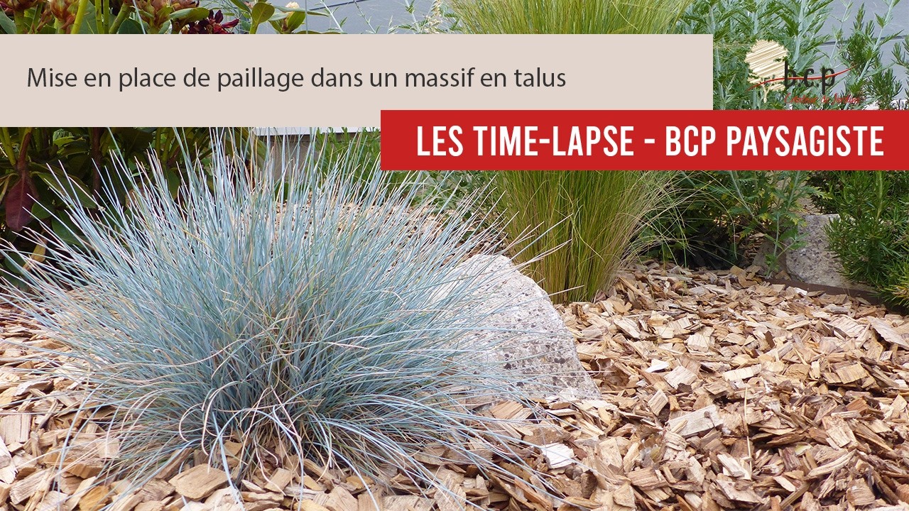 Paillage BRF : Technique Professionnelle en Timelapse | Protection Naturelle du Sol