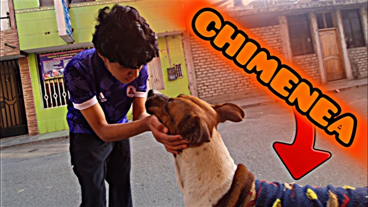 Un Hermoso Hallazgo