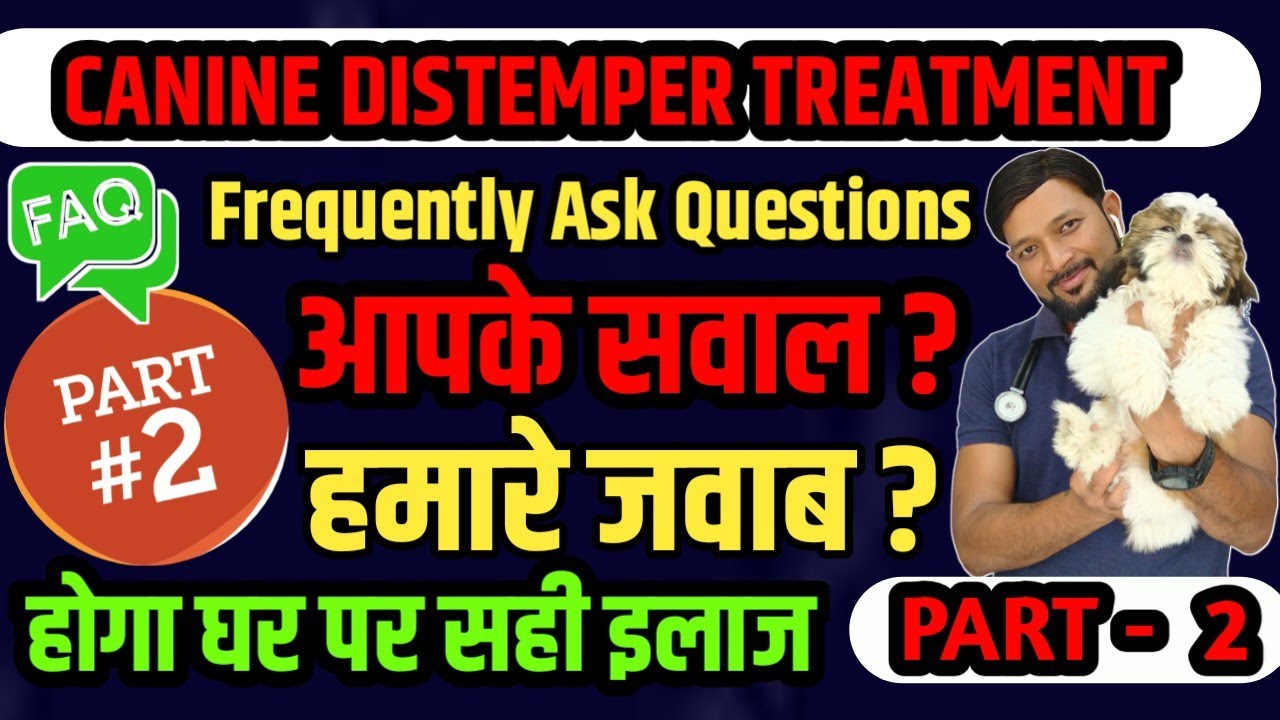 Canine Distemper In Dogs Treatment Symptoms Recovery Medicine Frequently Ask Question ? Part 2