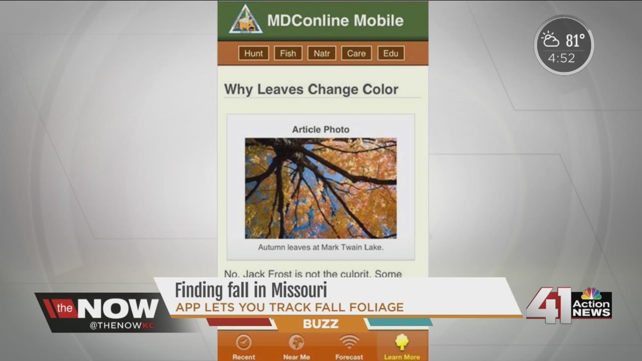 Finding fall in Missouri