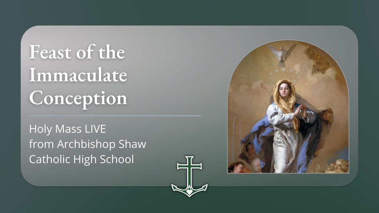 Feast of the Immaculate Conception Holy Mass LIVE | Archbishop Shaw