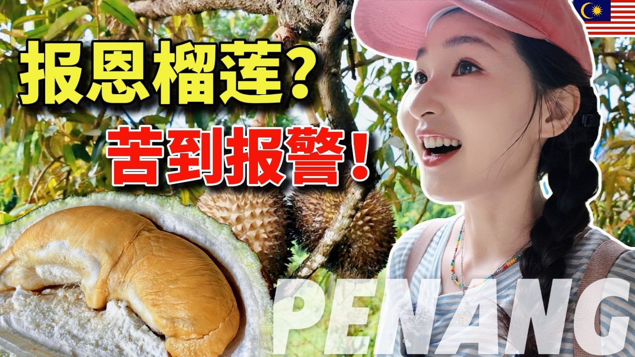 传说中槟城最强红虾榴莲😋潜入美湖山顶榴莲园，老板带捡果，体验超特别 | 再探村落秘密档口，甘榜榴莲竟然好吃爆表！槟城榴莲｜马来西亚旅游｜吃在槟城 | 文文乱乱玩