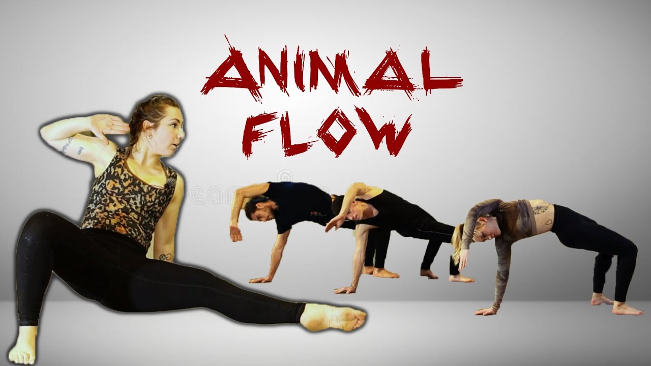 ANIMAL FLOW ®: Initiation avec le gratin du FitGame (et ça casse des poignets)