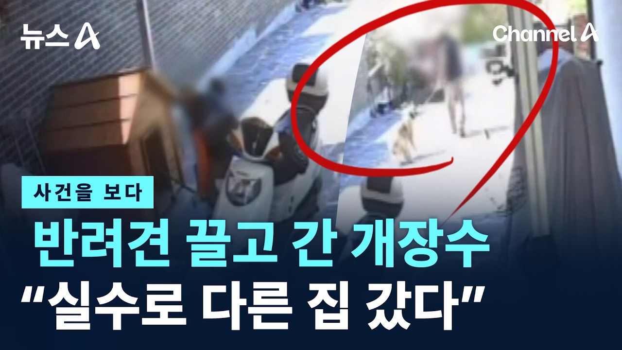 [사건을 보다]반려견 끌고 간 개장수&hellip;&ldquo;실수로 다른 집 갔다&rdquo; / 채널A / 뉴스A