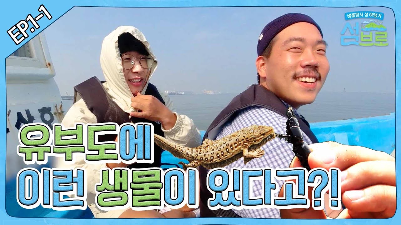 고립된 섬 탐사기 