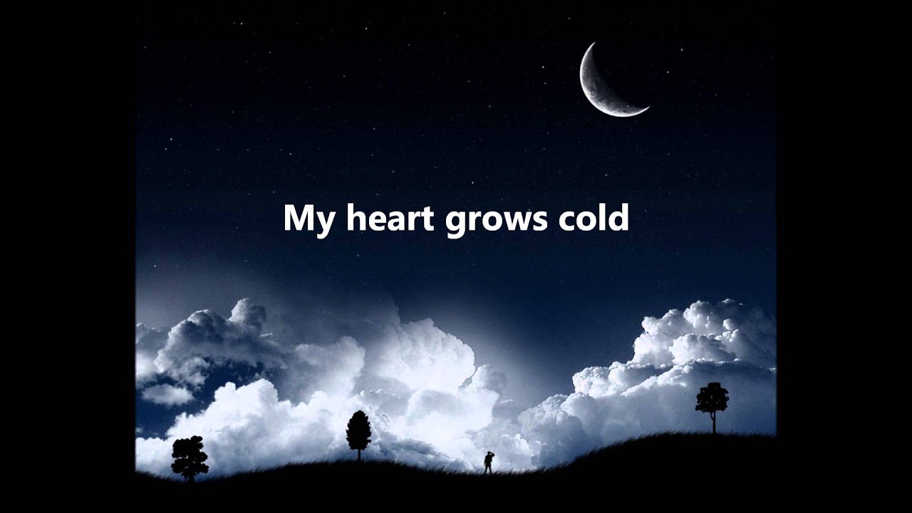 Skillet - Will You Be There (Lyrics)